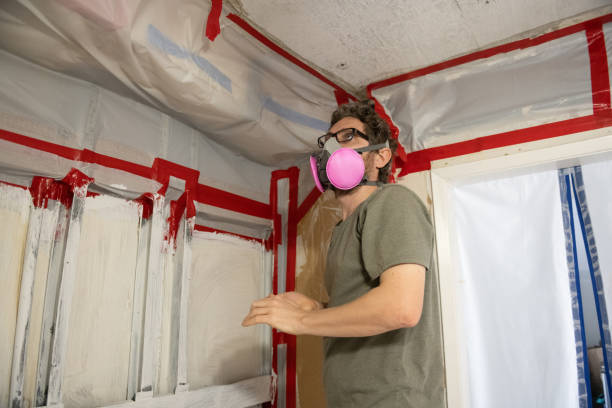 Best Mold Damage Restoration  in Roswell, NM